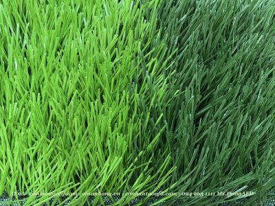 Cỏ nhân tạo sân bóng AF9A - 130 mũi