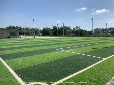 Cỏ sân bóng AF10A - 130 mũi