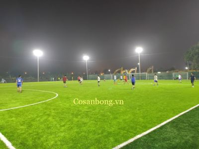 Cỏ nhân tạo sân bóng AF1A - 160 mũi