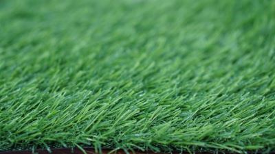 Cỏ sân vườn AF-D2016