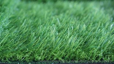 Cỏ sân vườn AF-N3016