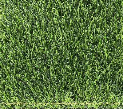 Cỏ nhân tạo sân vườn AF-D1513