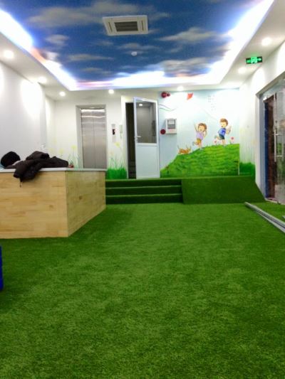 Cỏ nhân tạo sân chơi mầm non AF-M3014